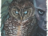 owl-companion-w